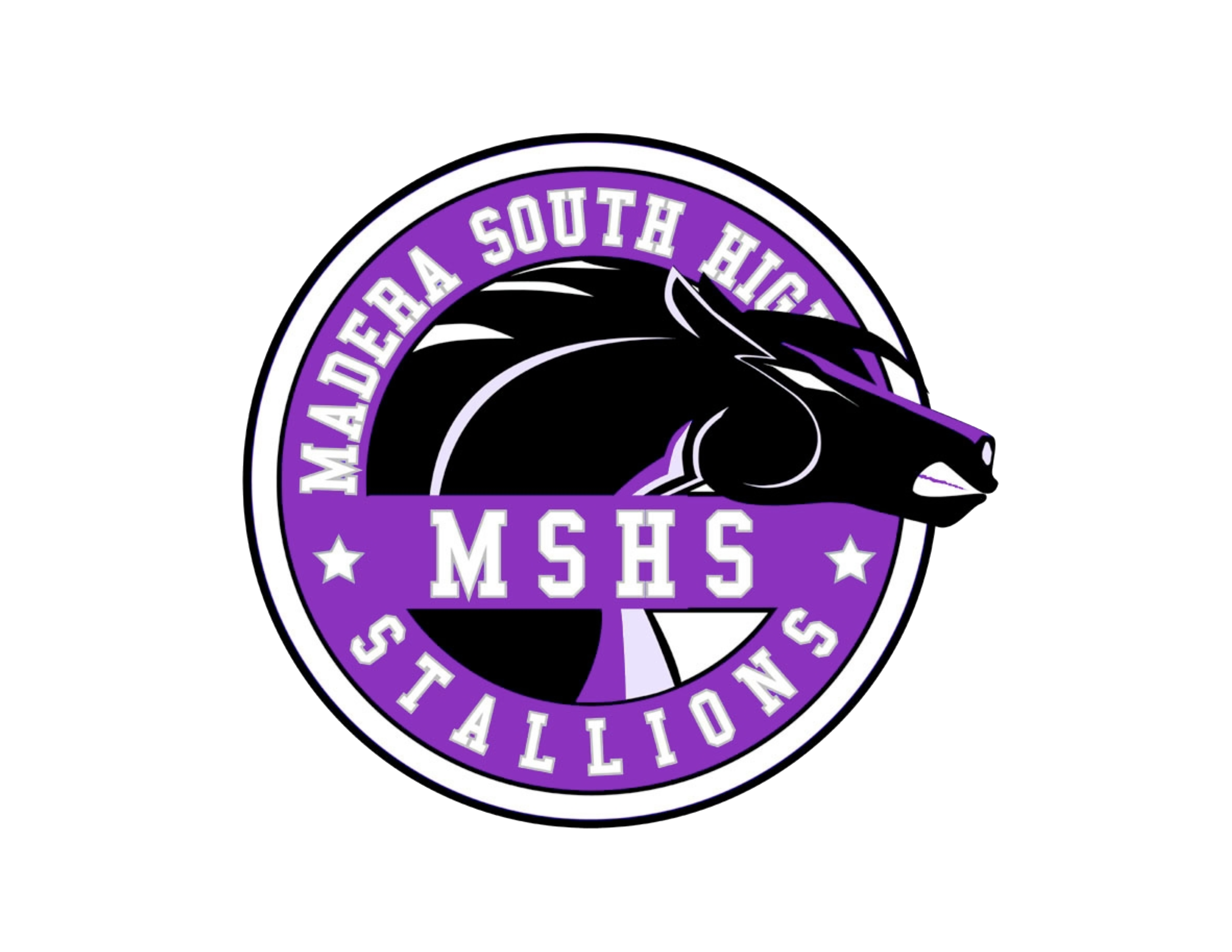 South hot sale high school